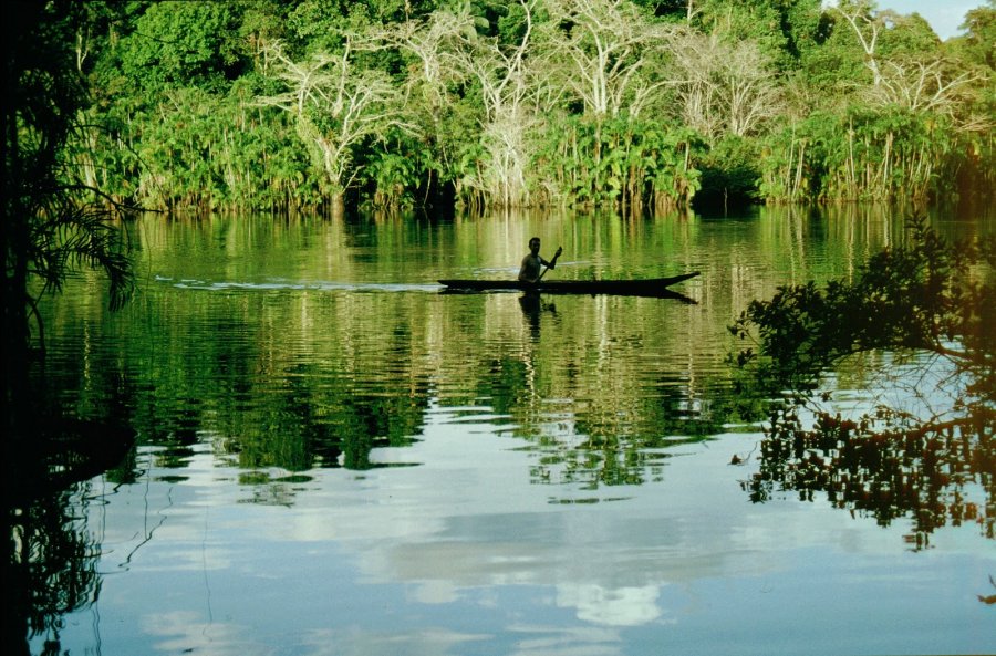 Джунгли Амазонии